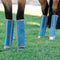 Professionals Choice Deluxe Fly Boots Set of 4